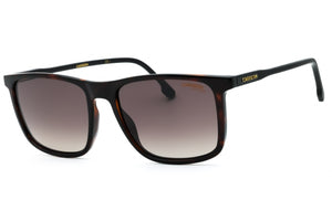 CARRERA 231/S 0086 HA
