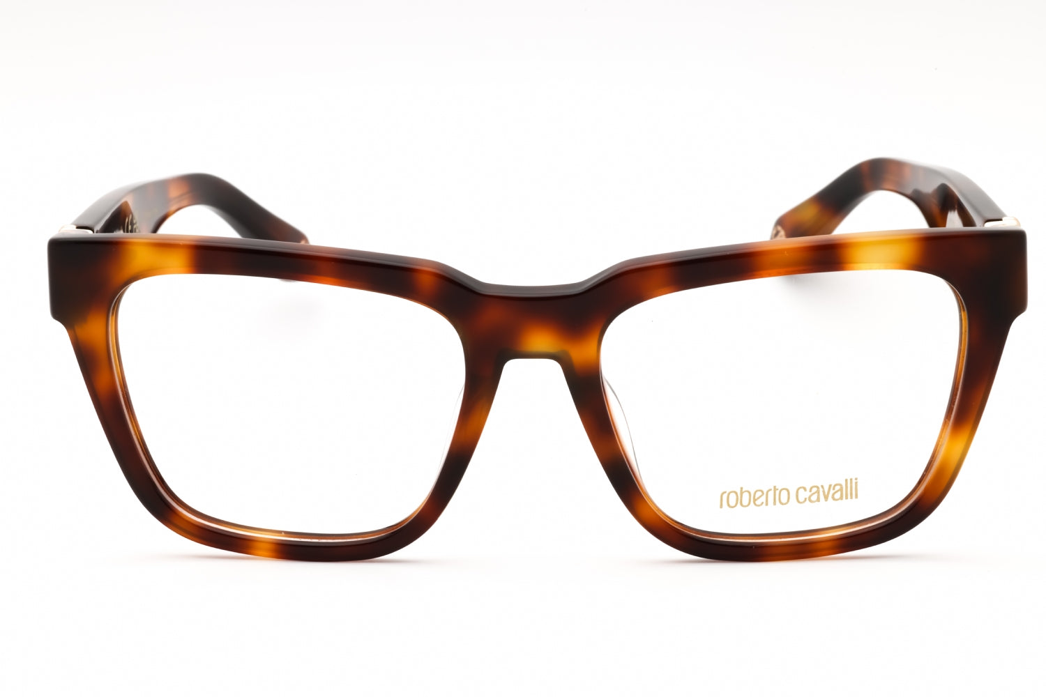 ROBERTO CAVALLI VRC026M 02BP