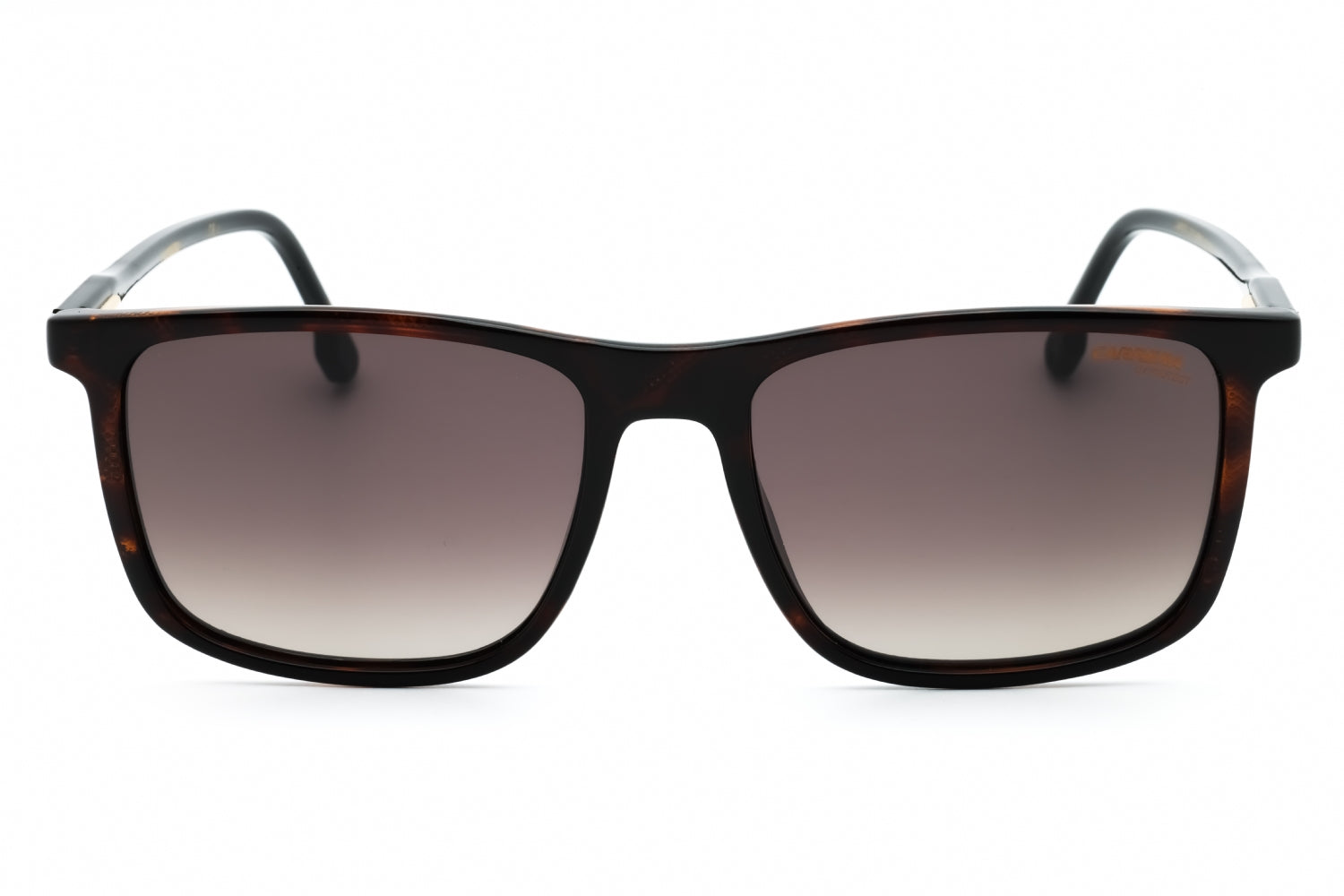 CARRERA 231/S 0086 HA