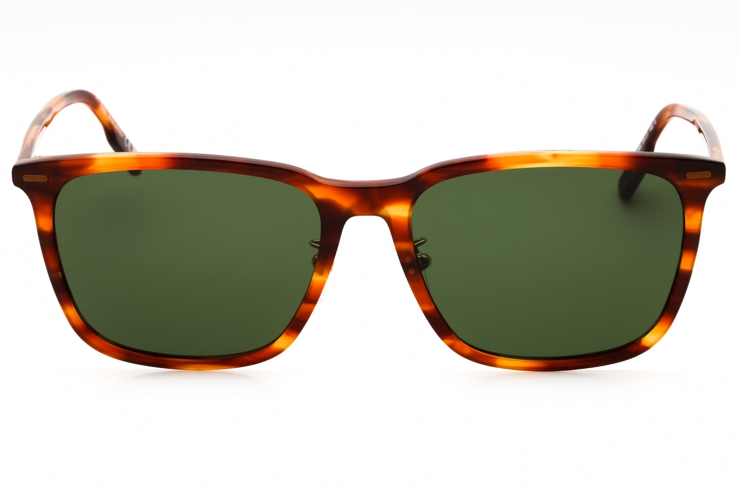 ERMENEGILDO ZEGNA EZ0223-D 56N