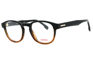 CARRERA 294 R60